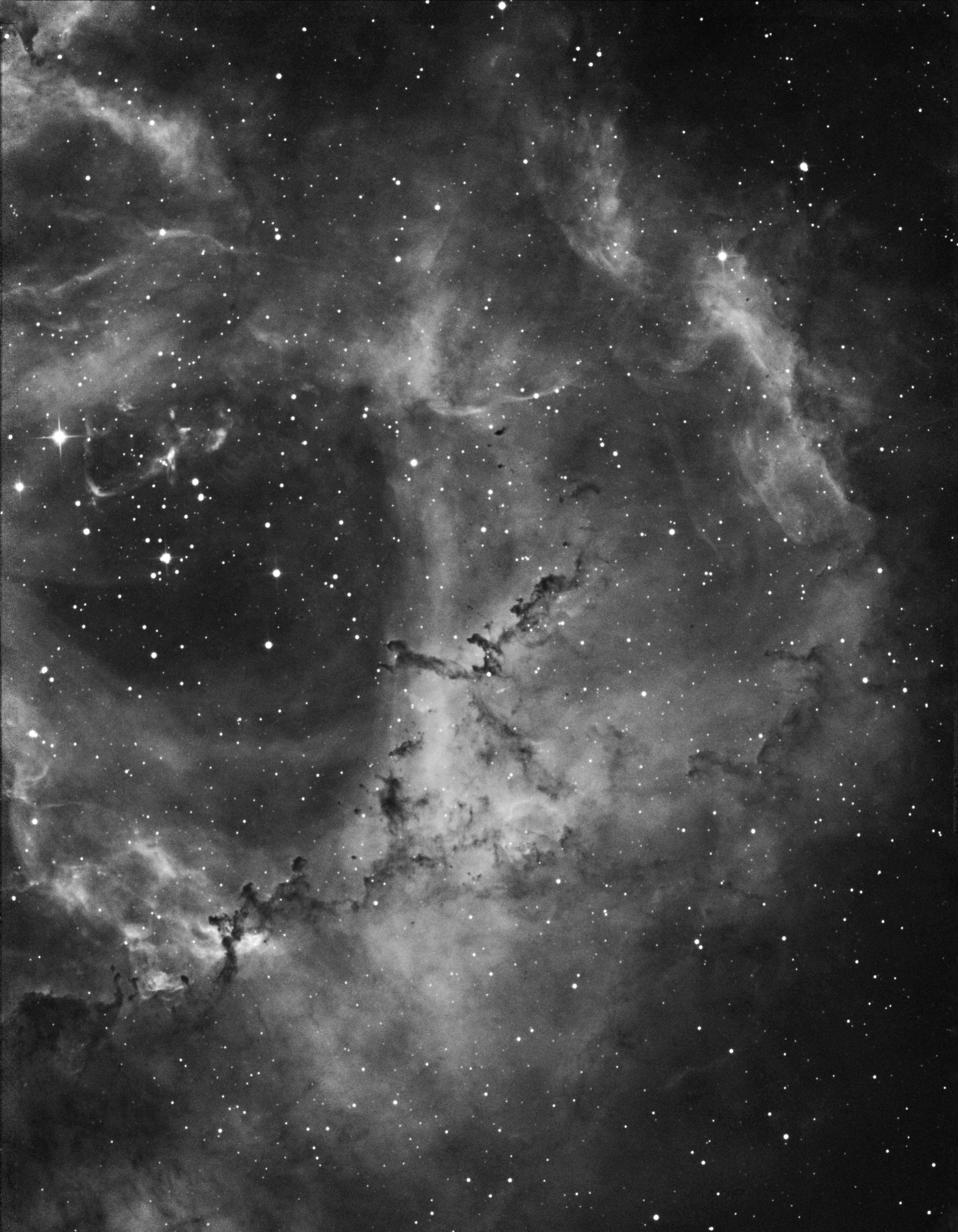 Details of the Rosette Nebula